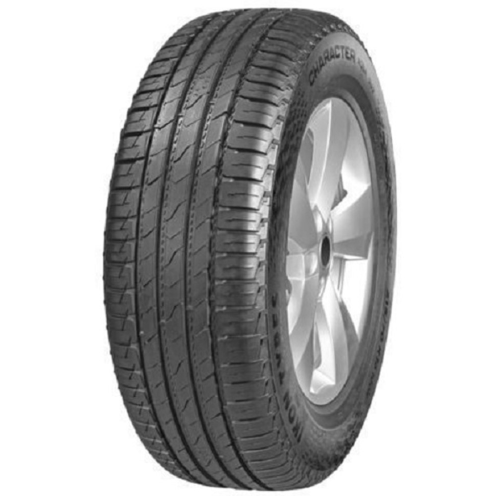 Легковая шина Ikon (Nokian Tyres) Character Aqua SUV (Nordman S2 SUV) 225/55 R19 99V