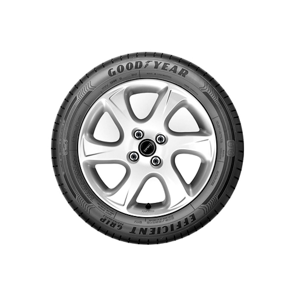 Легковая шина Goodyear EfficientGrip Performance RunFlat 205/60 R16 92V