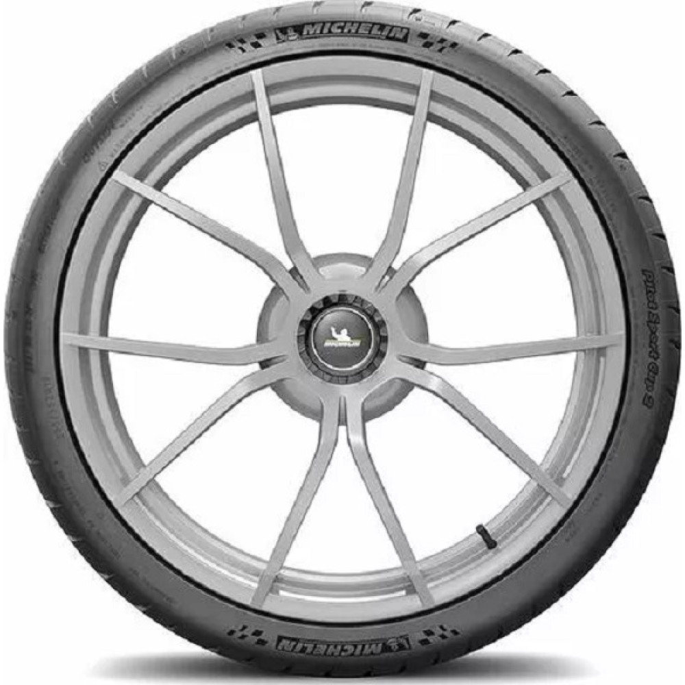 Легковая шина Michelin Pilot Sport Cup 2R 325/30 R21 108Y