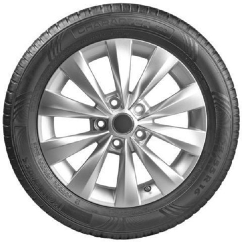 Легковая шина Ikon (Nokian Tyres) Character Eco (Nordman SX3) 205/55 R16 91H